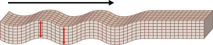 S : Ȳ(transverse wave)